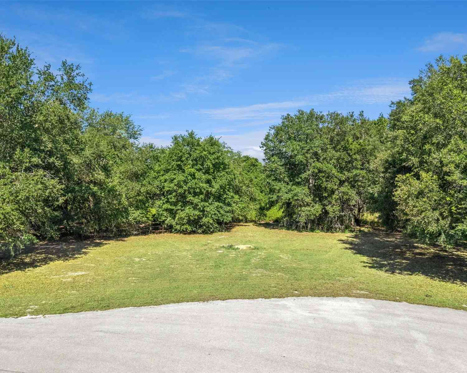 Vacant Land For Sale - 18353 Great Blue Heron Drive<br/> GROVELAND, FL 34736