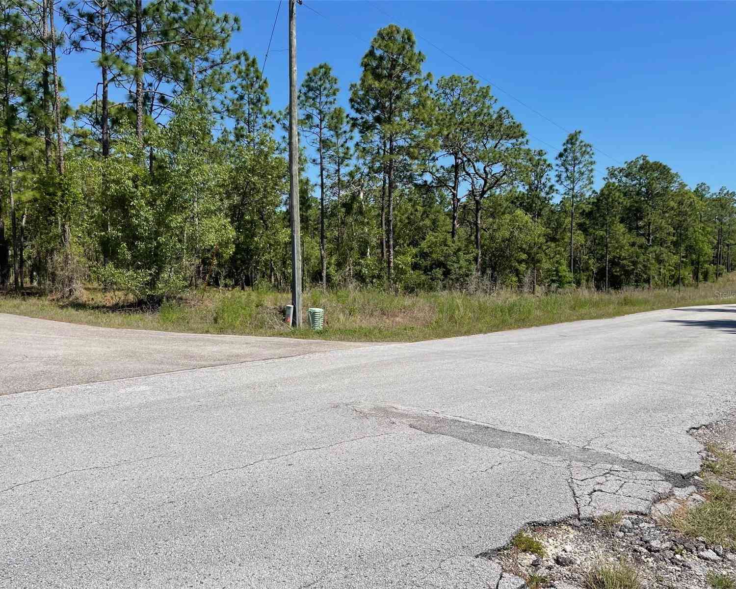 Vacant Land For Sale - LOT 1 NW Mandrake Drive<br/> DUNNELLON, FL 34431