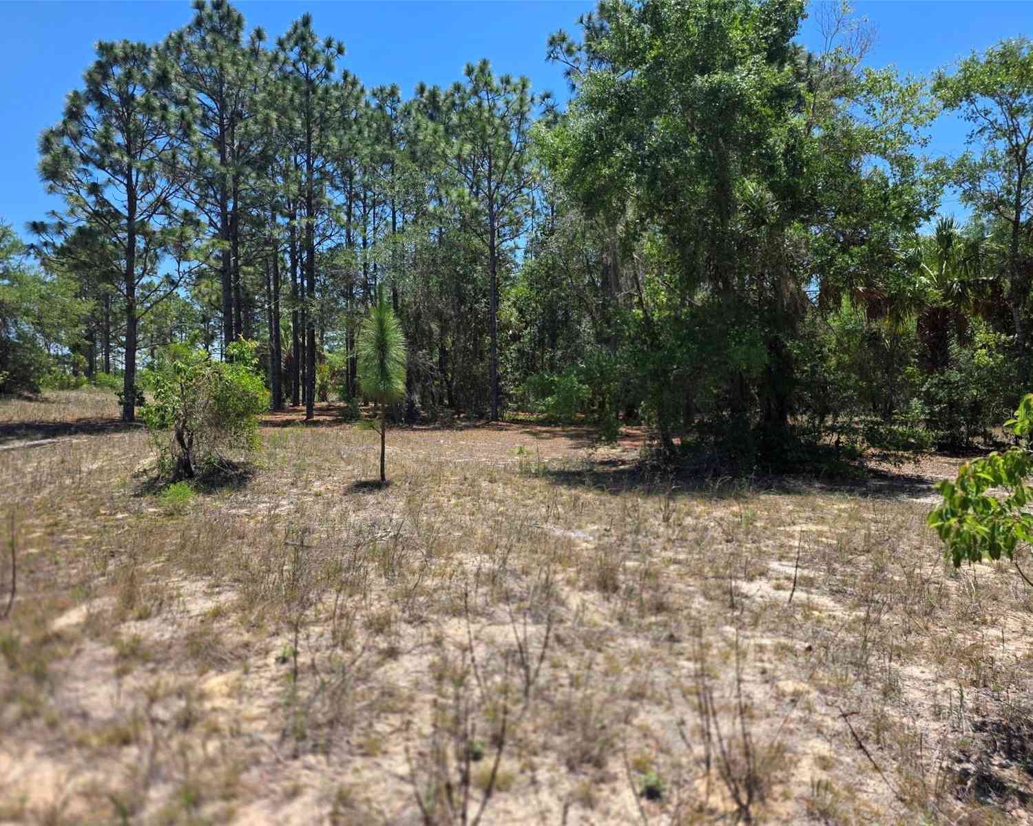 Vacant Land For Sale - 11837 N Captiva Terrace<br/> DUNNELLON, FL 34433