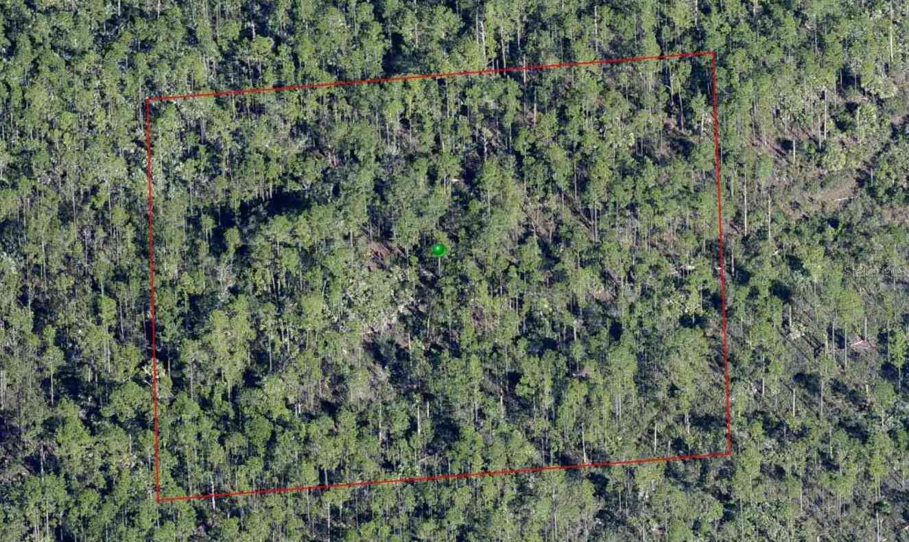 Vacant Land For Sale - Lake Harney Road<br/> OSTEEN, FL 32764