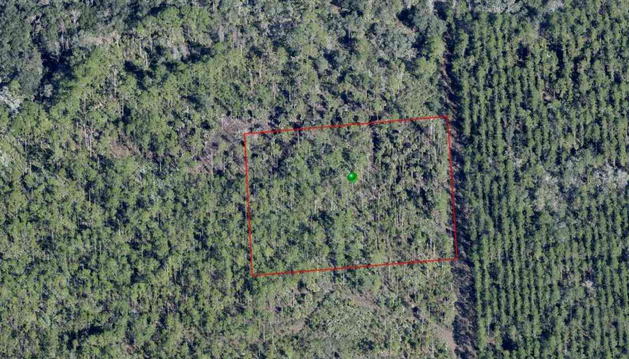 Vacant Land For Sale - Lake Harney Road<br/> OSTEEN, FL 32764