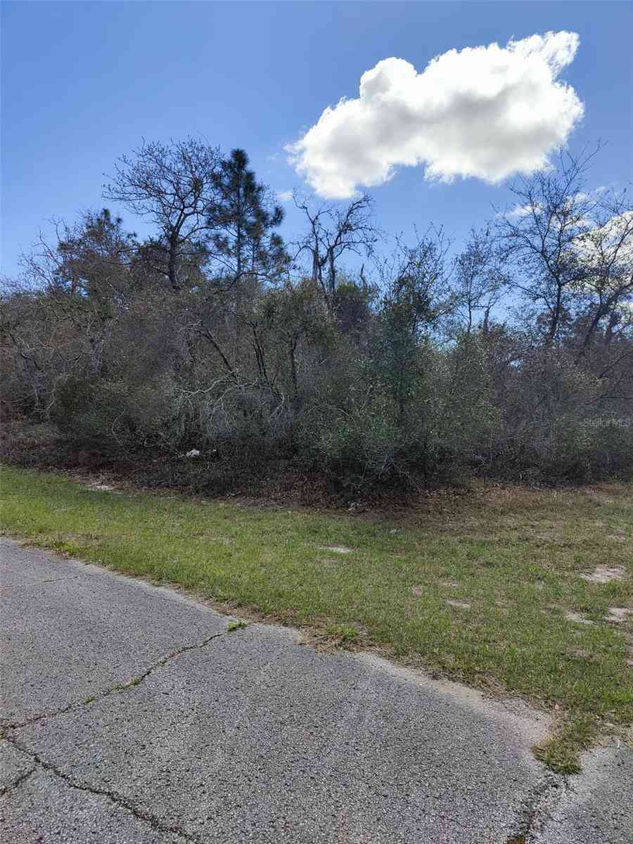 Vacant Land For Sale - 408 Vernon Court<br/> KISSIMMEE, FL 34759