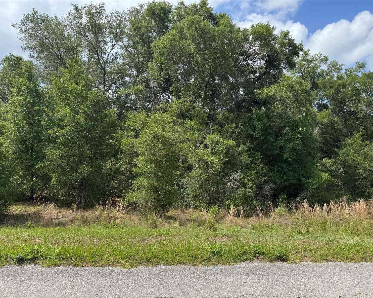 Vacant Land For Sale - TBD Keene Road<br/> ALTOONA, FL 32702
