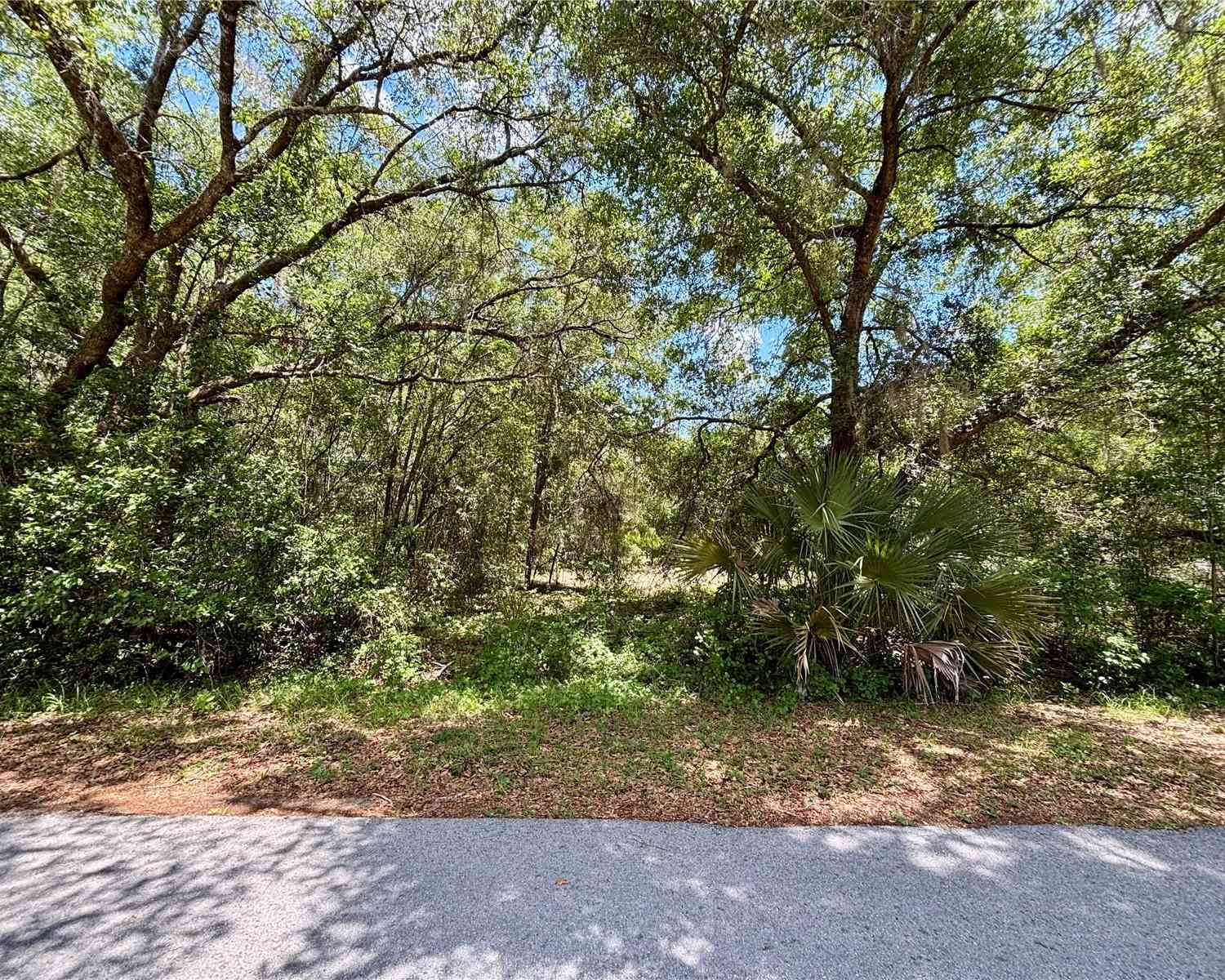 Vacant Land For Sale - LOT 15 SW Shorewood Drive<br/> DUNNELLON, FL 34431