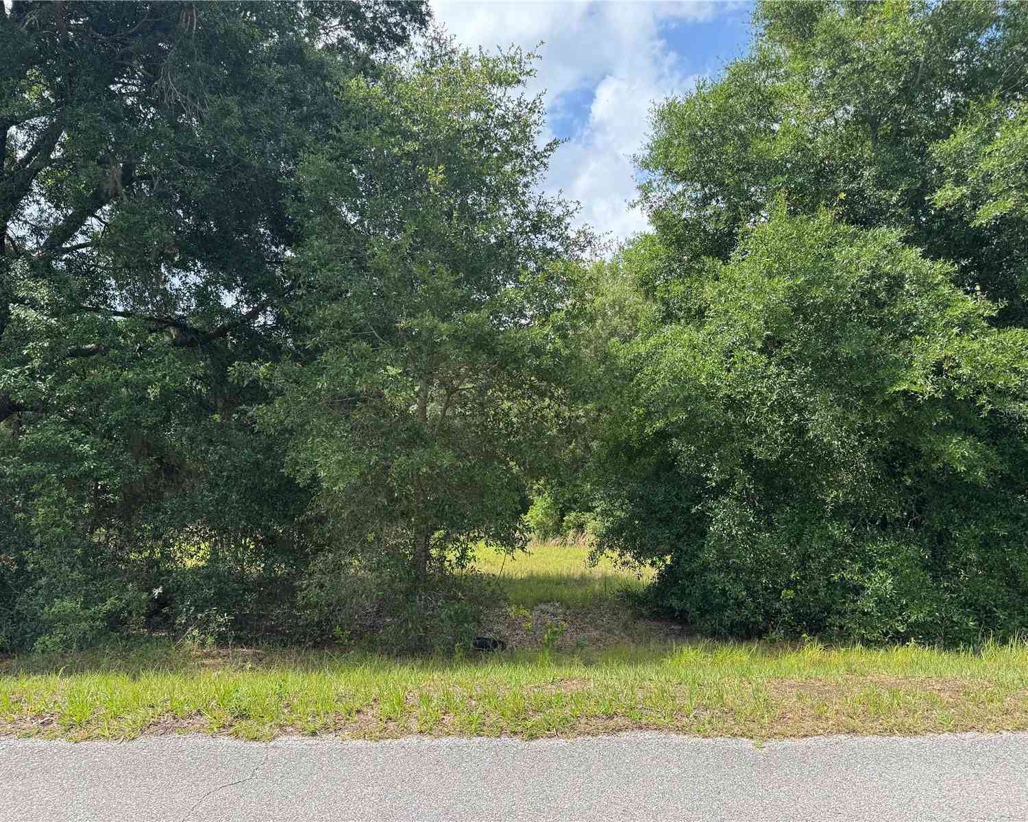 Vacant Land For Sale - TBD Keene Road<br/> ALTOONA, FL 32702