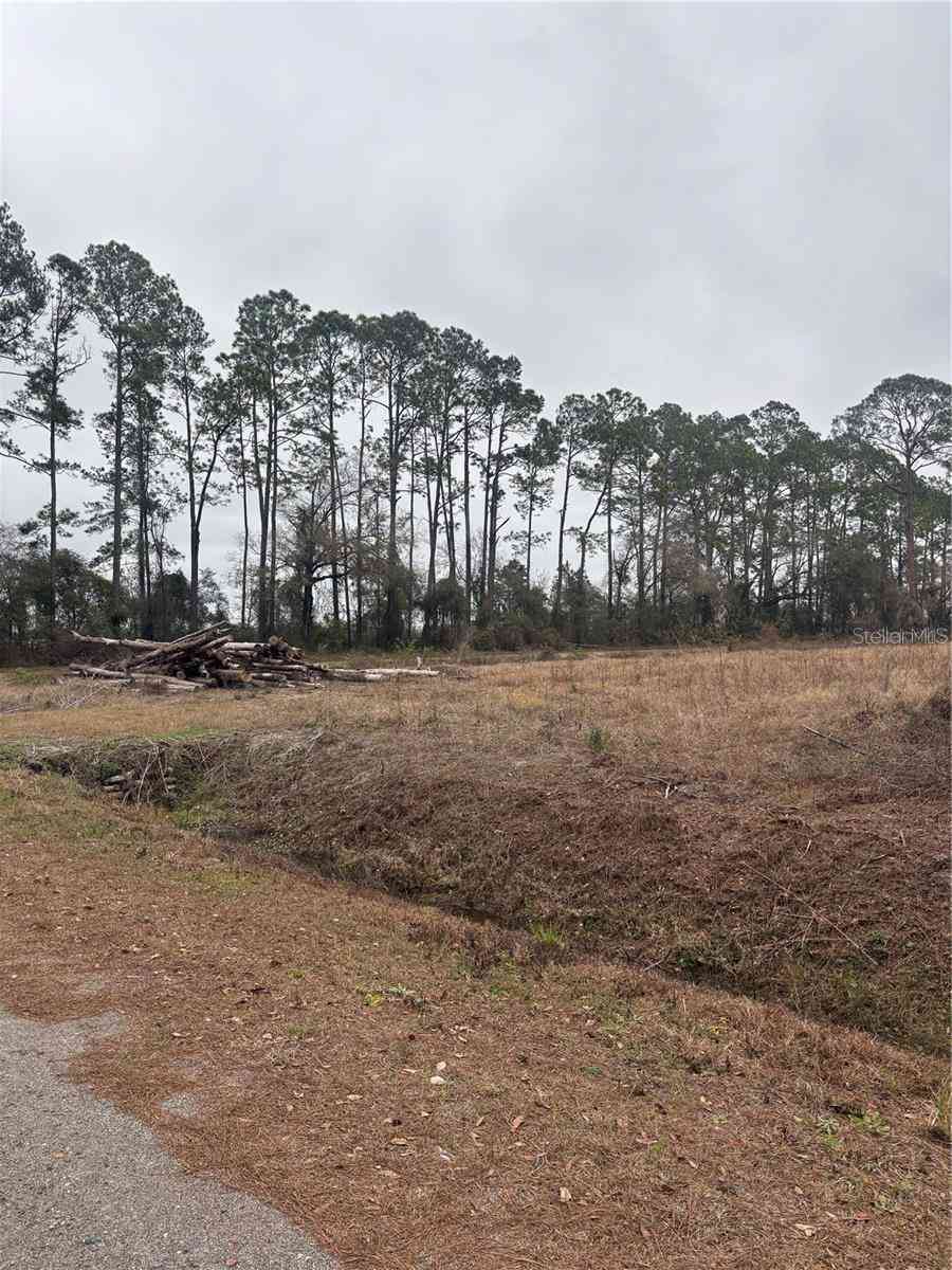 Vacant Land For Sale - 9600 Light Avenue<br/> HASTINGS, FL 32145