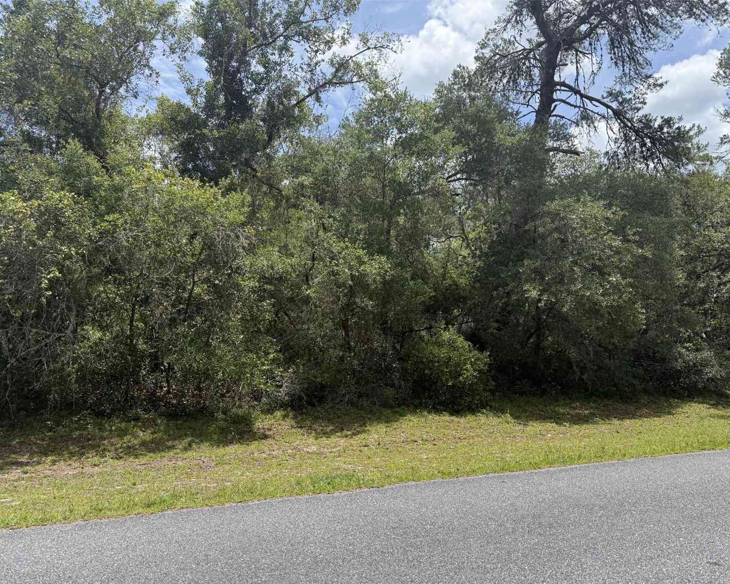 Vacant Land For Sale - TBD SW 29th Terrace Road<br/> OCALA, FL 34473