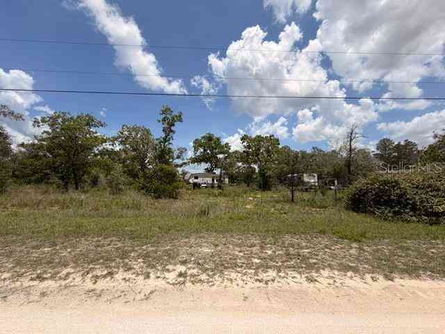 Vacant Land For Sale - Fulmar Road<br/> WEEKI WACHEE, FL 34614