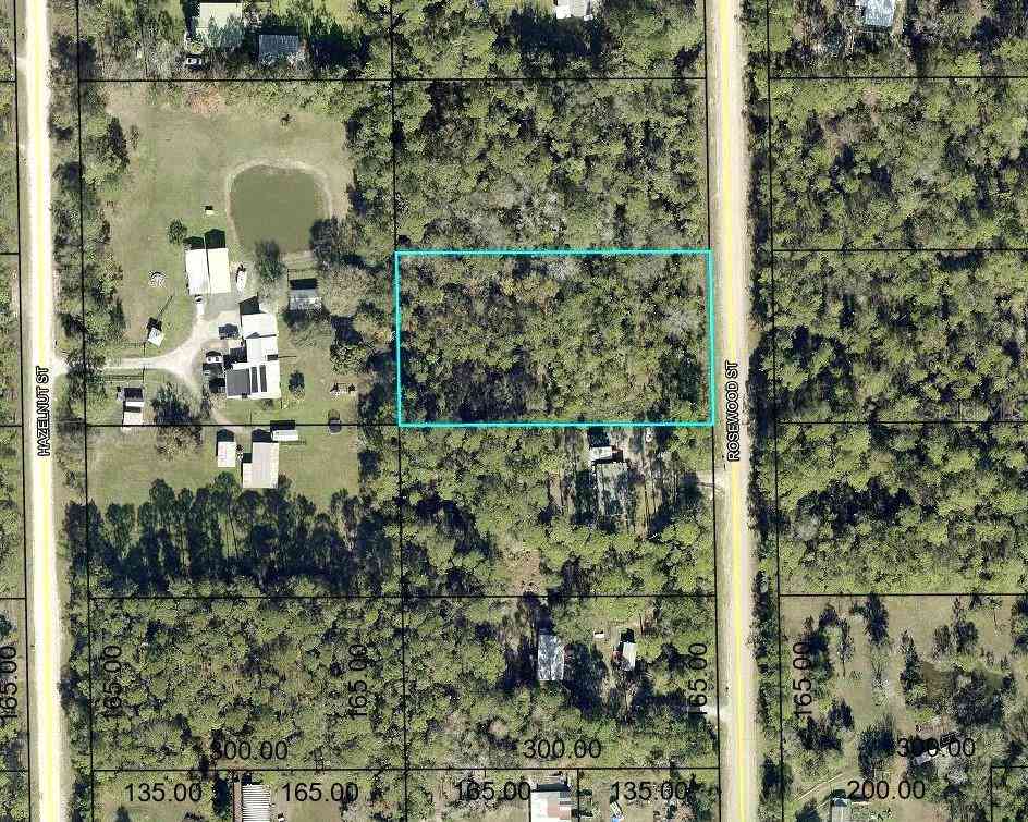 Vacant Land For Sale - 1352 Rosewood Street<br/> BUNNELL, FL 32110