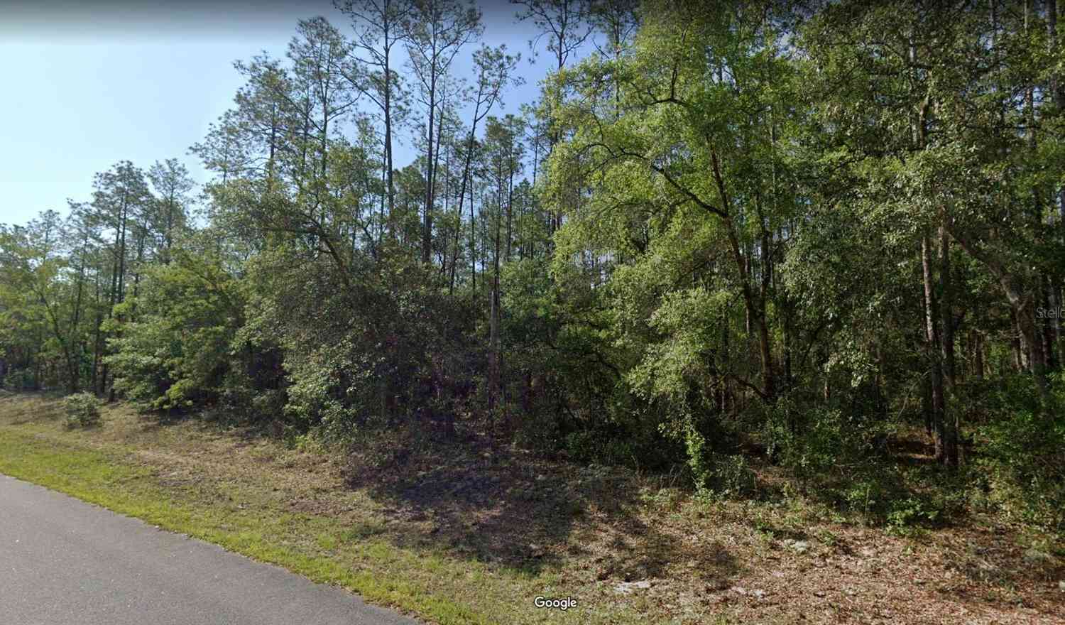 Vacant Land For Sale - 546 E Bimini Drive<br/> DUNNELLON, FL 34434