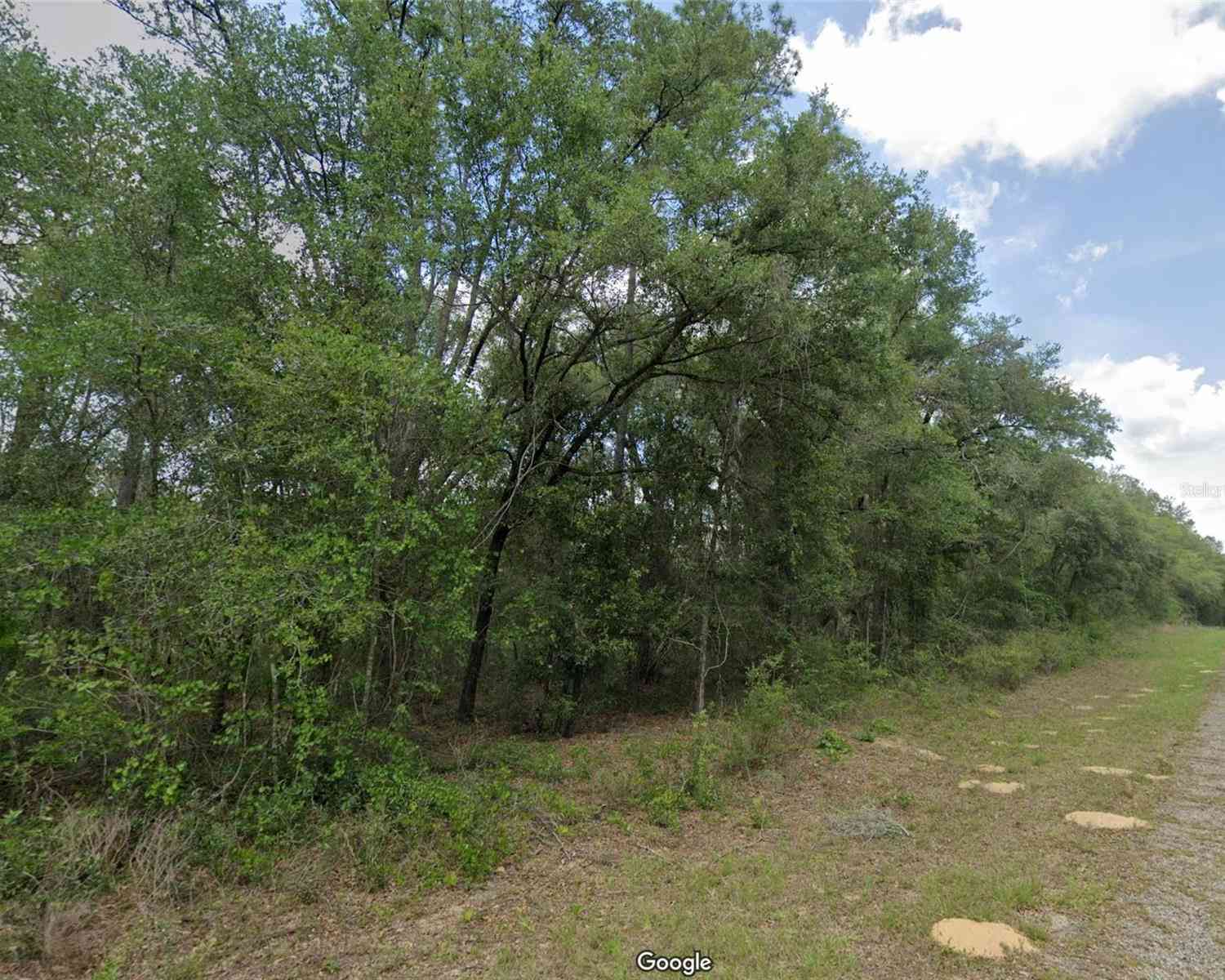 Vacant Land For Sale - 737 E Byrd Loop<br/> DUNNELLON, FL 34434
