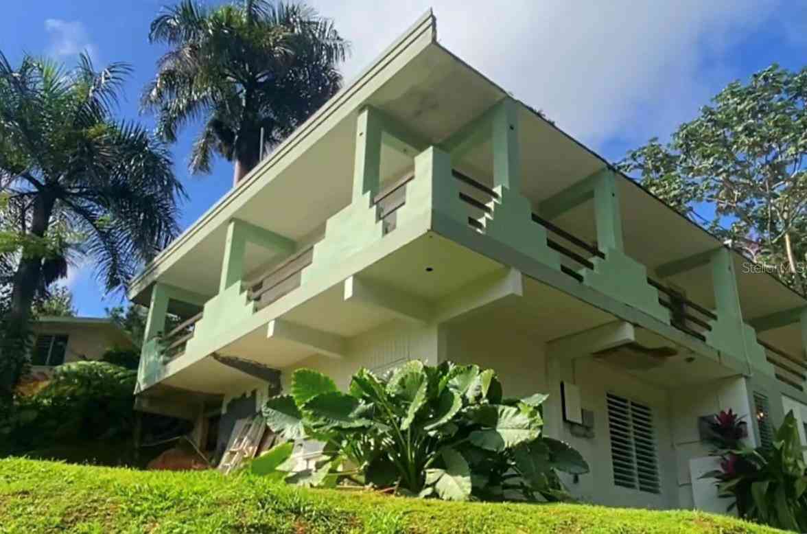 Homes For Sale - 4.8 Carr. 784 Km Road<br/> Caguas County, CAGUAS, PR 00725