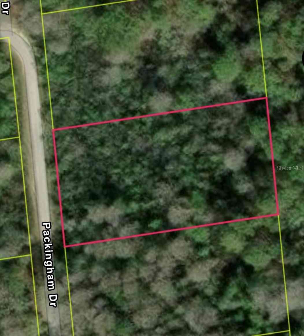 Vacant Land For Sale - Packingham Dr, Lot 10<br/> WEBSTER, FL 33597