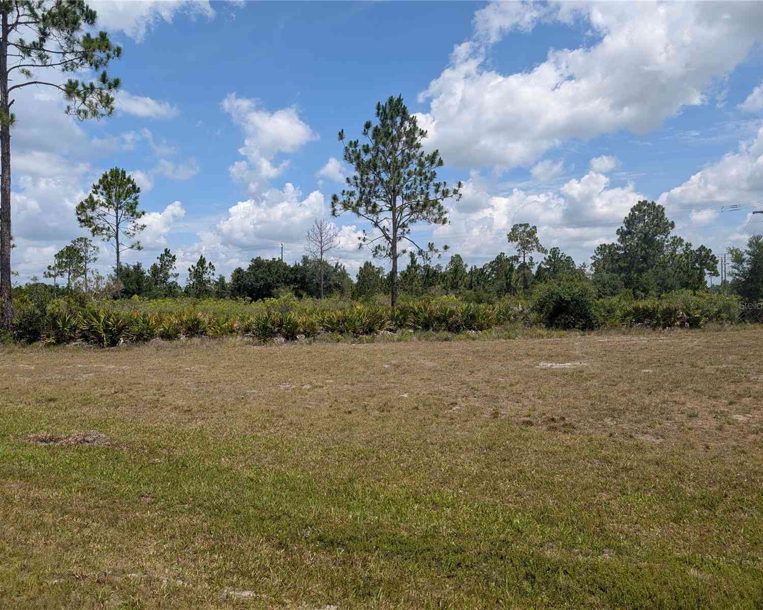 Vacant Land For Sale - 402 Japonica Drive<br/> INDIAN LAKE ESTATES, FL 33855