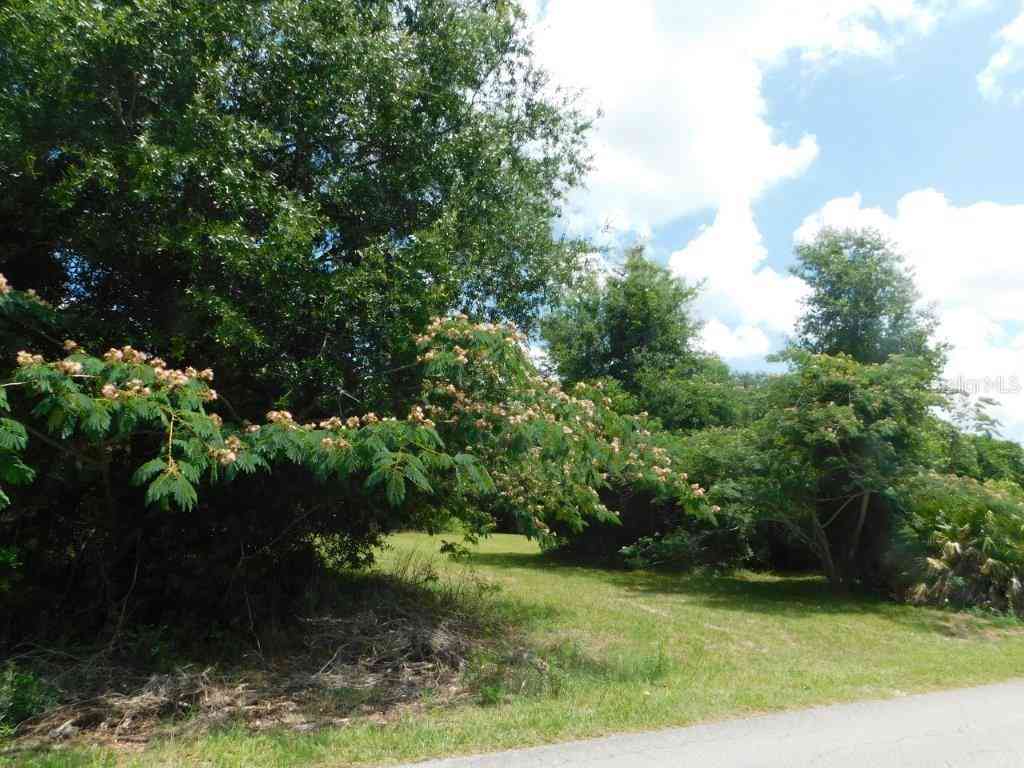 Vacant Land For Sale - NW 66th Street<br/> OCALA, FL 34475