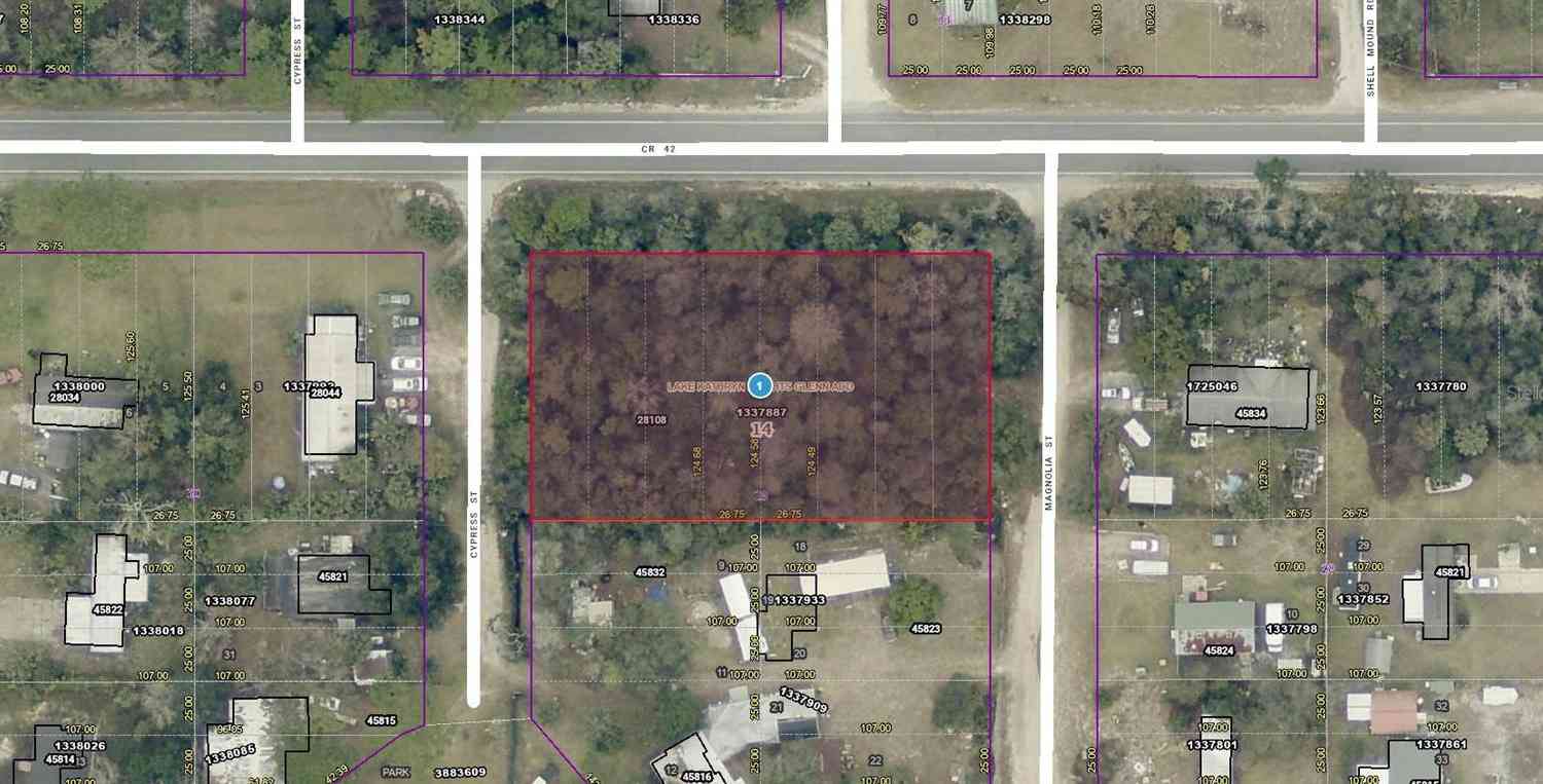 Vacant Land For Sale - 28108 County Road 42<br/> PAISLEY, FL 32767