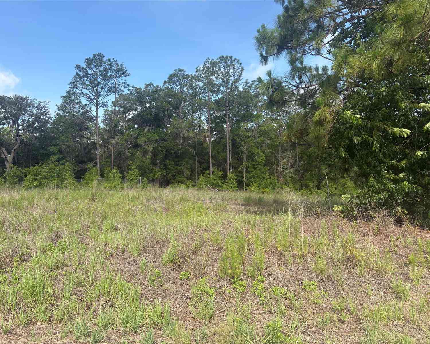 Vacant Land For Sale - TBD SW 152 Court<br/> OCALA, FL 34481