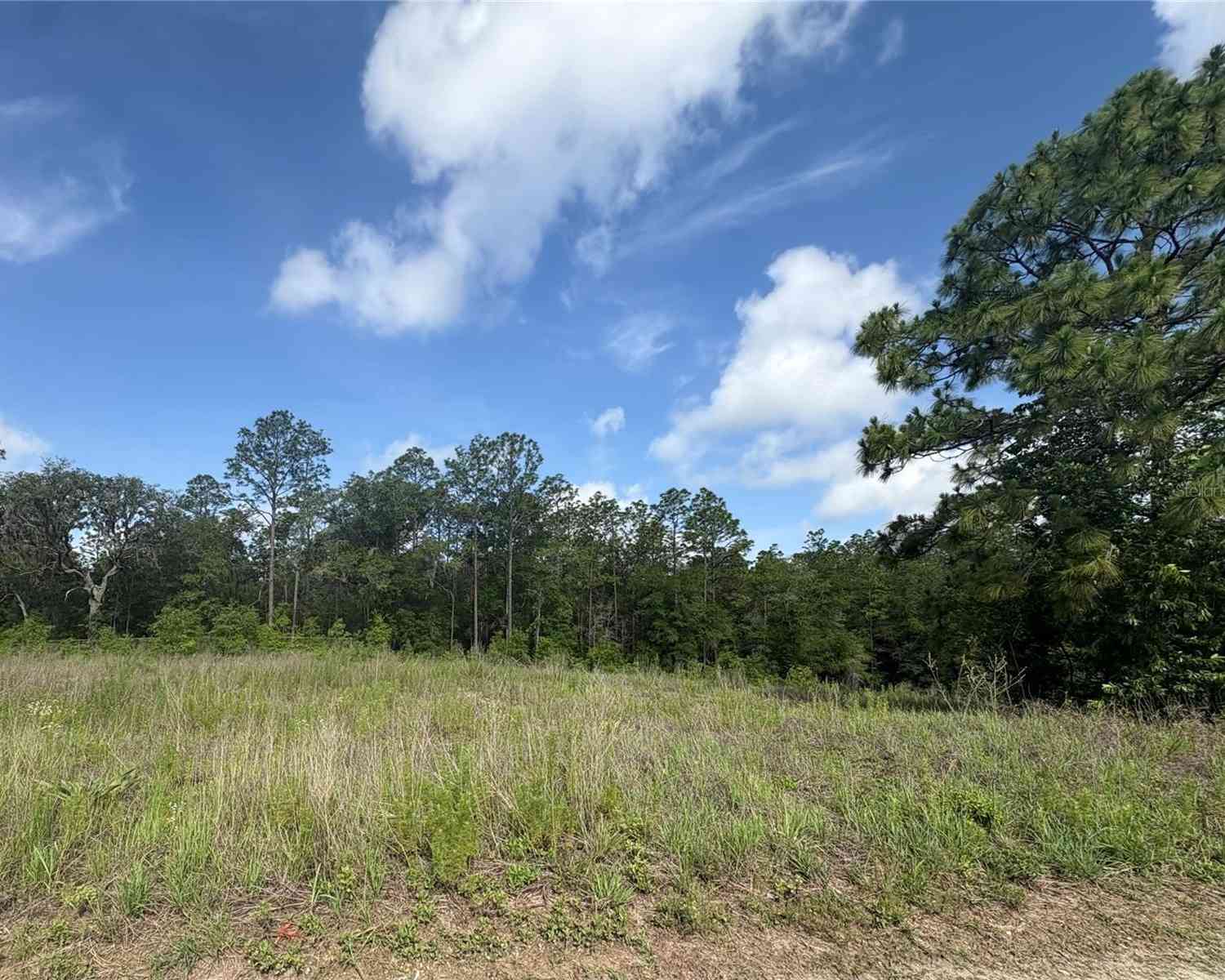 Vacant Land For Sale - TBD SW 152 Court<br/> OCALA, FL 34481