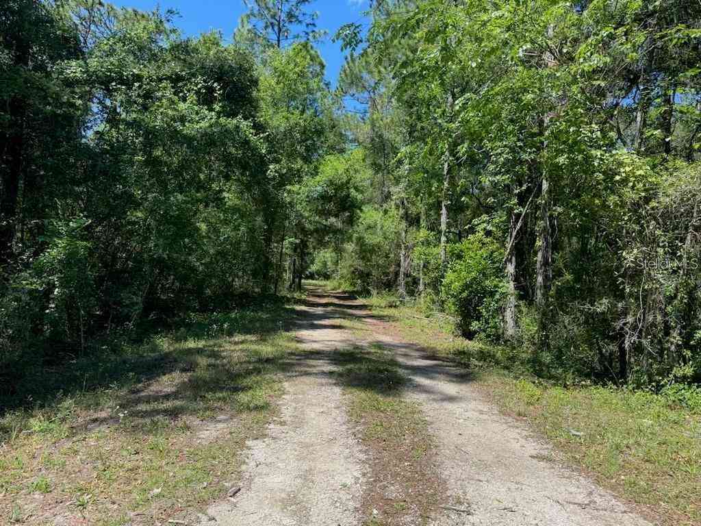 Vacant Land For Sale - Citadel Drive<br/> WEBSTER, FL 33597