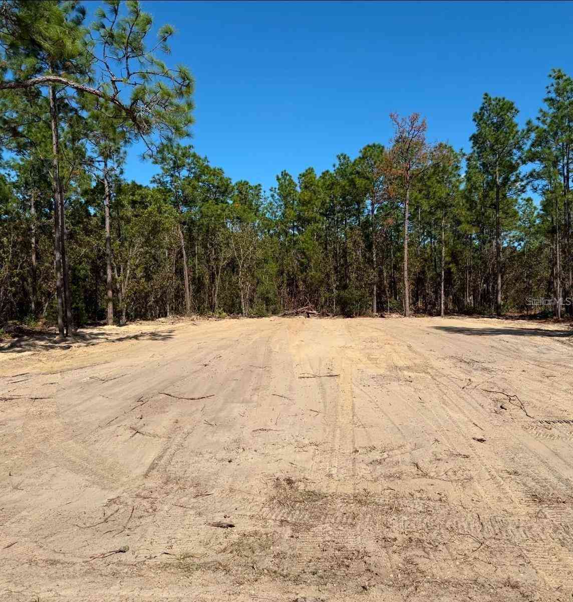 Vacant Land For Sale - 13831 SW 89th Circle<br/> OCALA, FL 34473