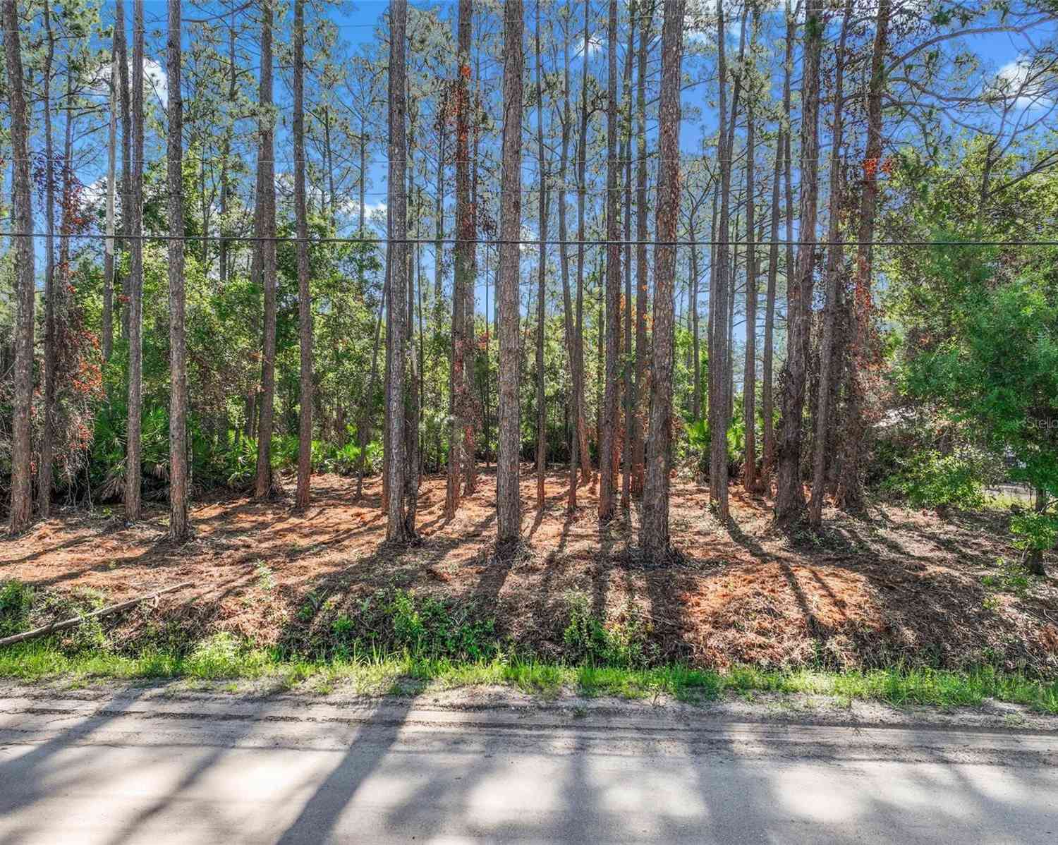 Vacant Land For Sale - 2679 Forest Park Street<br/> BUNNELL, FL 32110