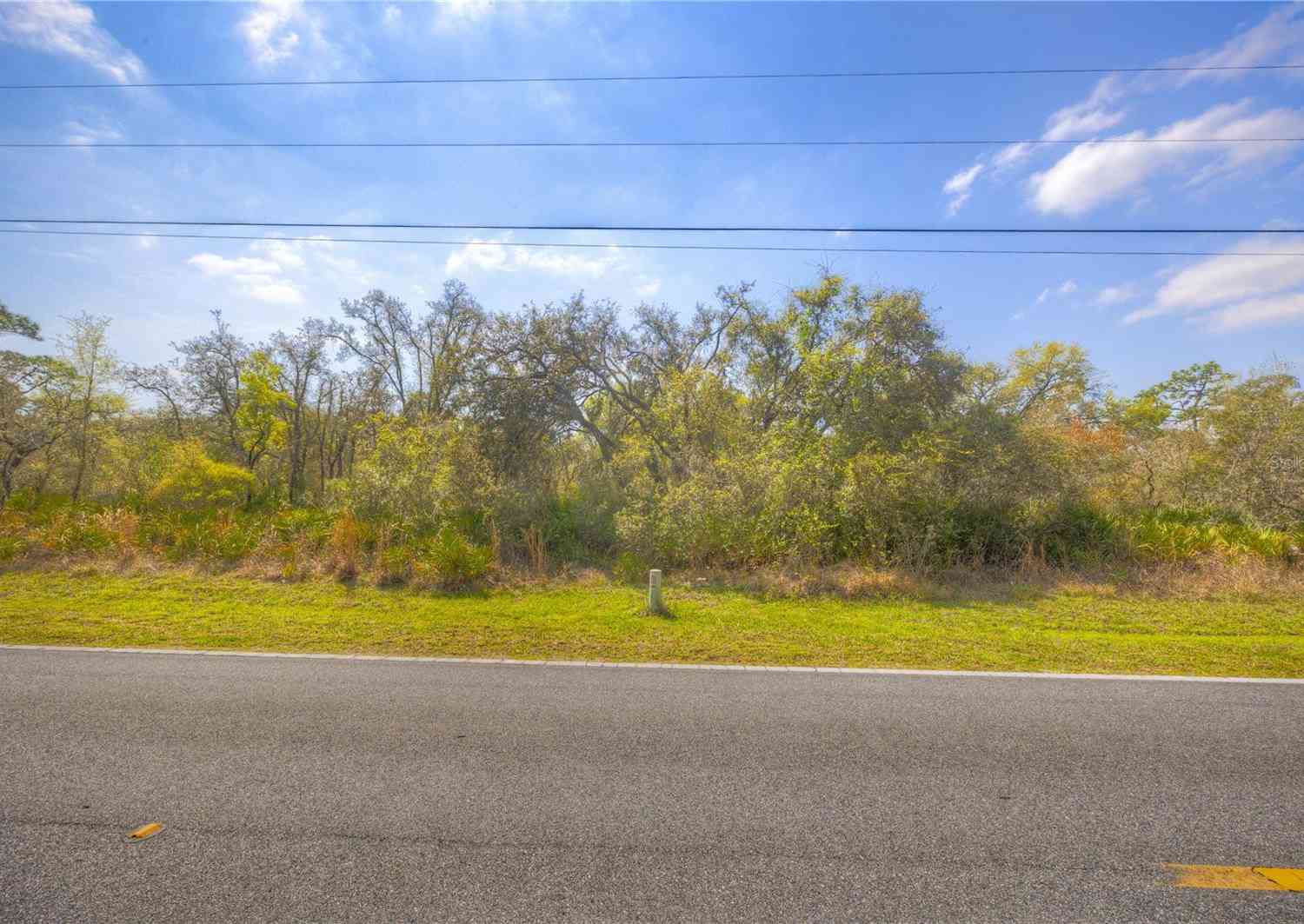 Vacant Land For Sale - 35166 Cornerstone Drive<br/> WEBSTER, FL 33597