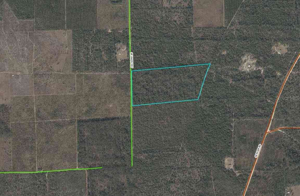 Vacant Land For Sale - Union Way<br/> Madison County, LEE, FL 32059