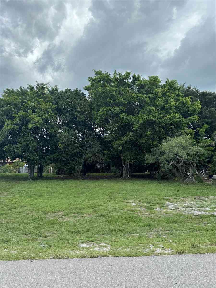 Vacant Land For Sale - Washington Avenue<br/> IMMOKALEE, FL 34142