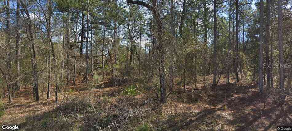 Vacant Land For Sale - 14390 English Sparrow Road<br/> WEEKI WACHEE, FL 34614