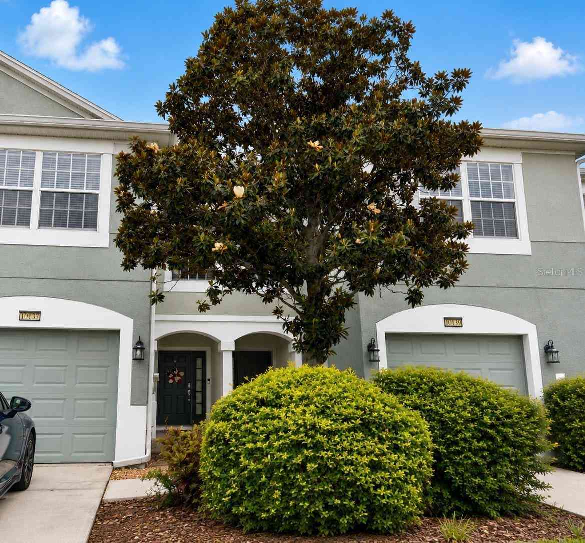 Townhouse For Sale - 10137 Pink Palmata Court<br/> RIVERVIEW, FL 33578