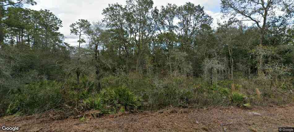 Vacant Land For Sale - 35023 Primrose Lane<br/> WEBSTER, FL 33597