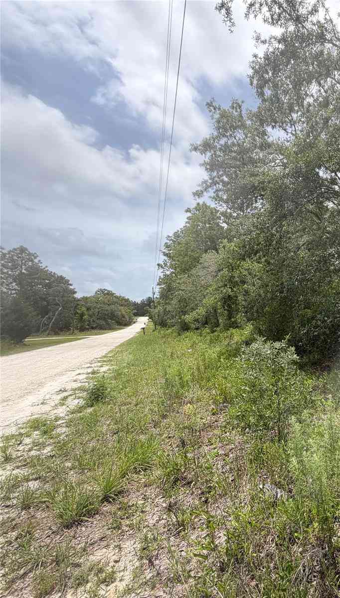 Vacant Land For Sale - 18011 Nutcracker Road<br/> WEEKI WACHEE, FL 34614