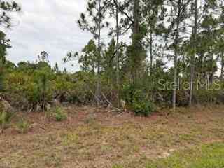 Vacant Land For Sale - 12141 Mc Elroy Avenue<br/> PORT CHARLOTTE, FL 33981