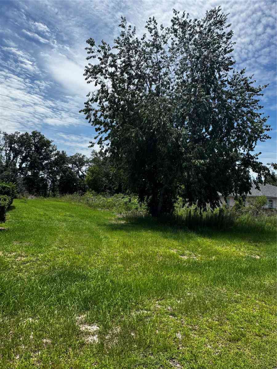 Vacant Land For Sale - TBD SW 46th Court<br/> OCALA, FL 34473