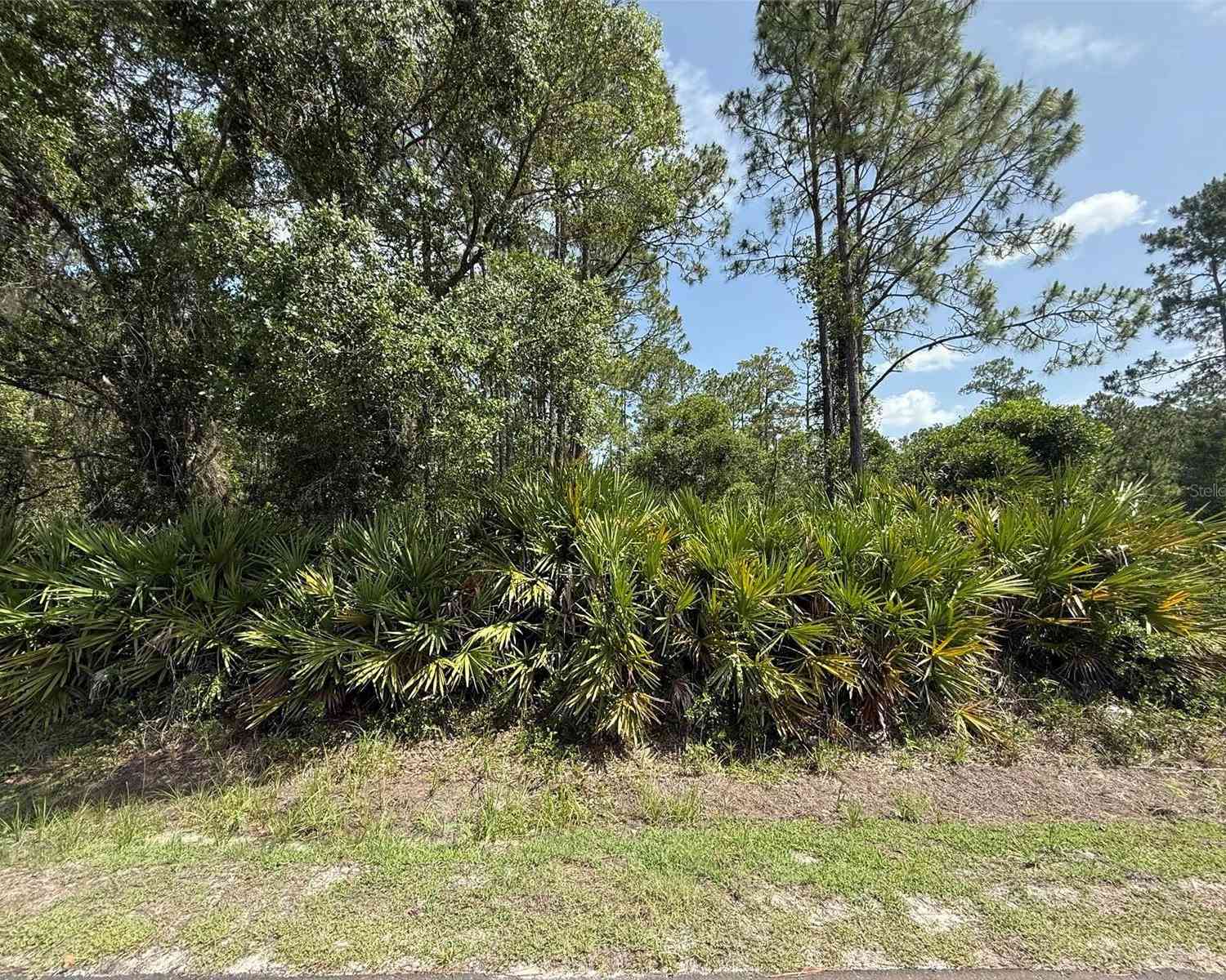 Vacant Land For Sale - 132 Millican Road<br/> PALATKA, FL 32177