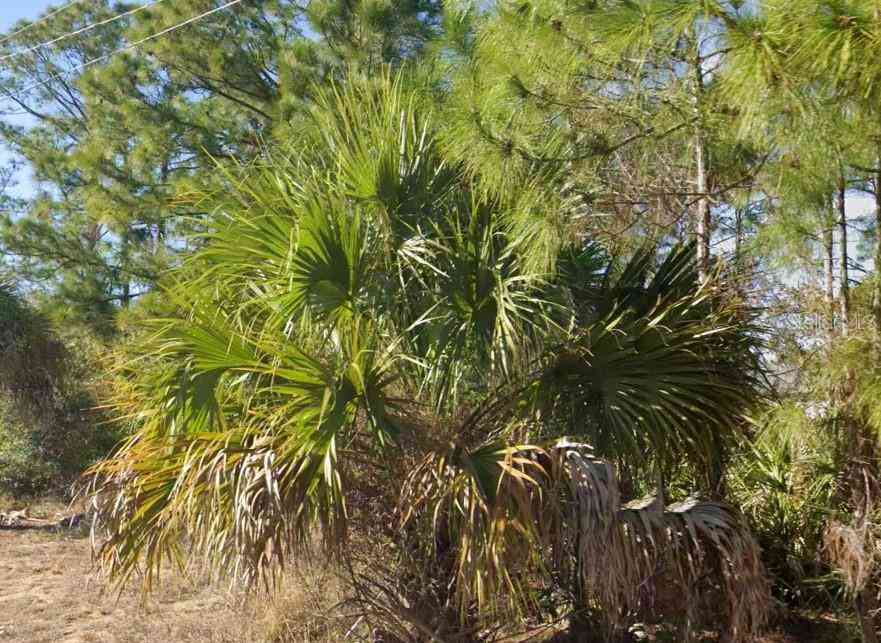Vacant Land For Sale - 2706 52nd Street<br/> LEHIGH ACRES, FL 33971