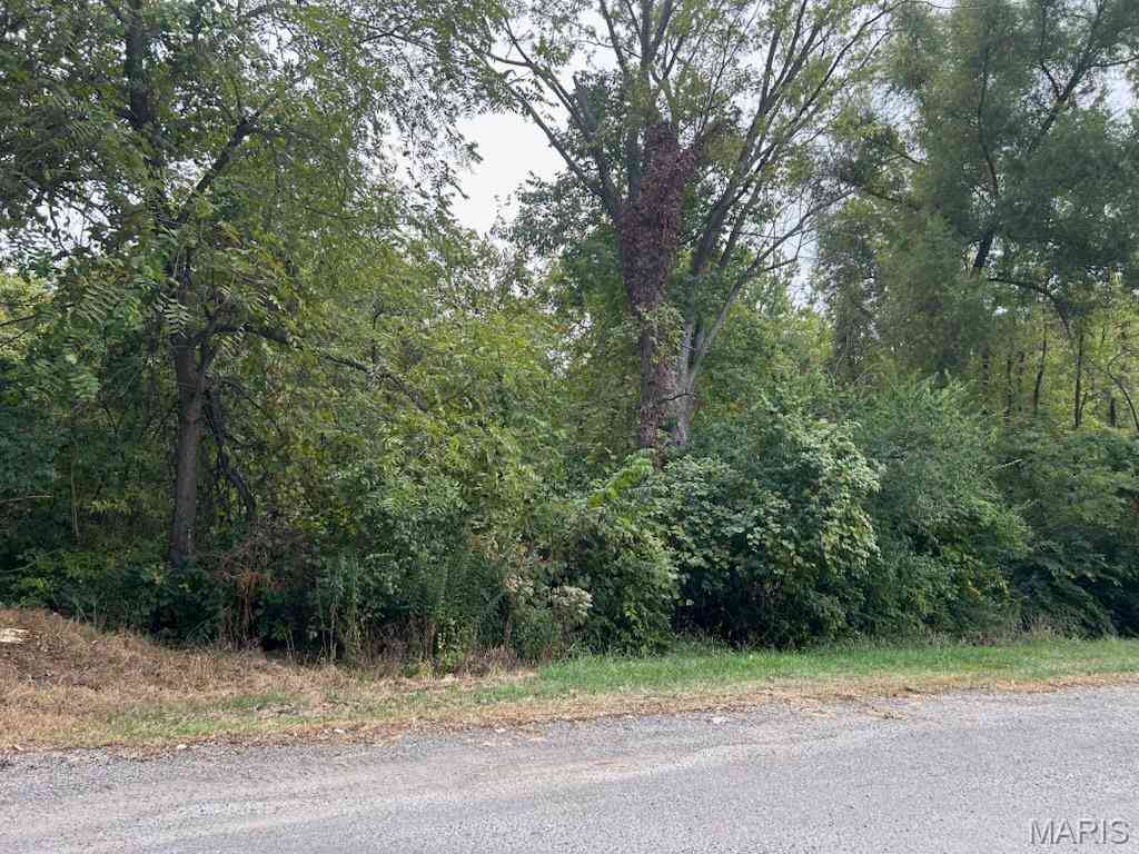 Vacant Land For Sale - TBD N Cole Street<br/> Vandalia, IL 62471