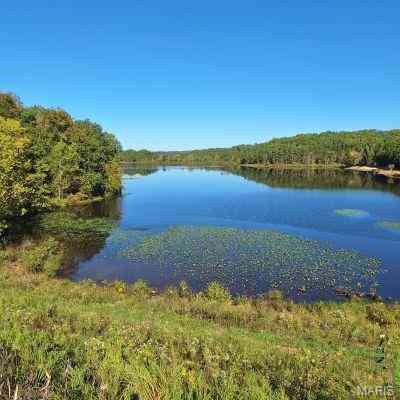 Vacant Land For Sale - 4 Turkey Creek<br/> Wayne County, Lowndes, MO 63951