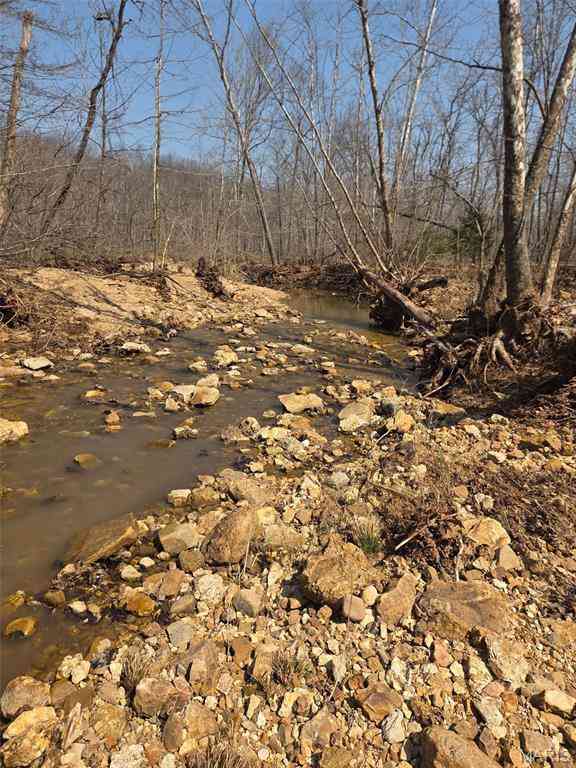 Vacant Land For Sale - TRACT 2 Bcr 930<br/> Patton, MO 63662