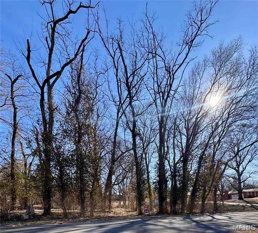 Vacant Land For Sale - Hillcreek Road<br/> Collinsville, IL 62234