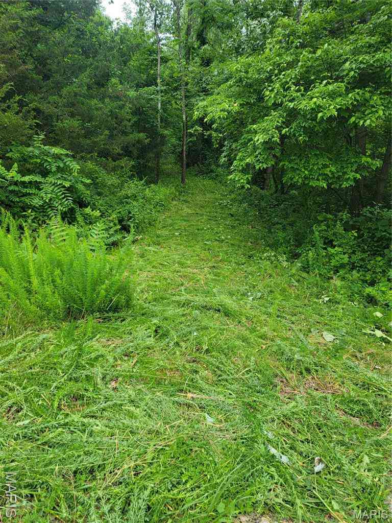 Vacant Land For Sale - 436 Lower Hollow Lane<br/> Augusta, MO 63332