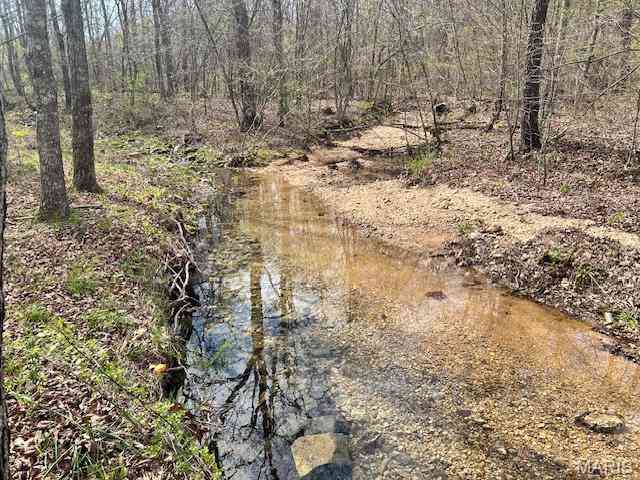 Vacant Land For Sale - 413 Kelley Road<br/> Annapolis, MO 63620