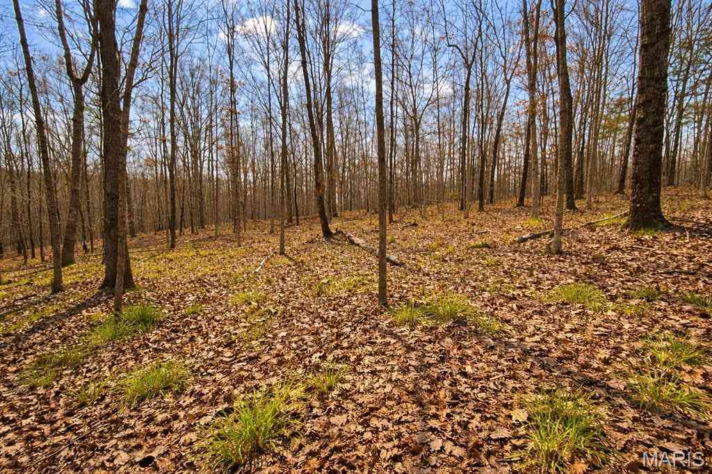 Vacant Land For Sale - 000 M- Apache Trail<br/> Raymondville, MO 65555