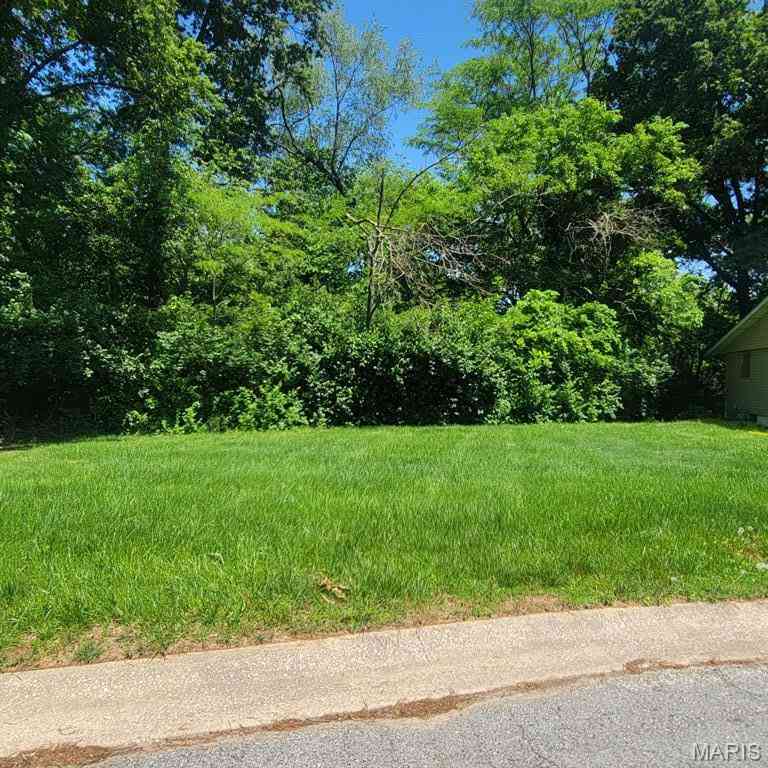 Vacant Land For Sale - Birch St.<br/> Bethalto, IL 62010