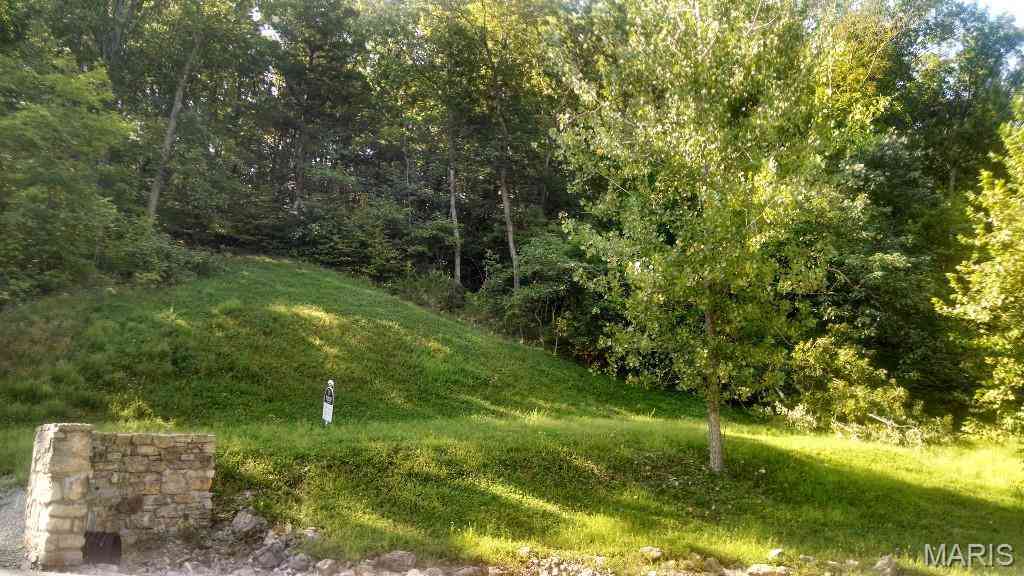 Vacant Land For Sale - 329 Berg Crossing Drive<br/> Augusta, MO 63332