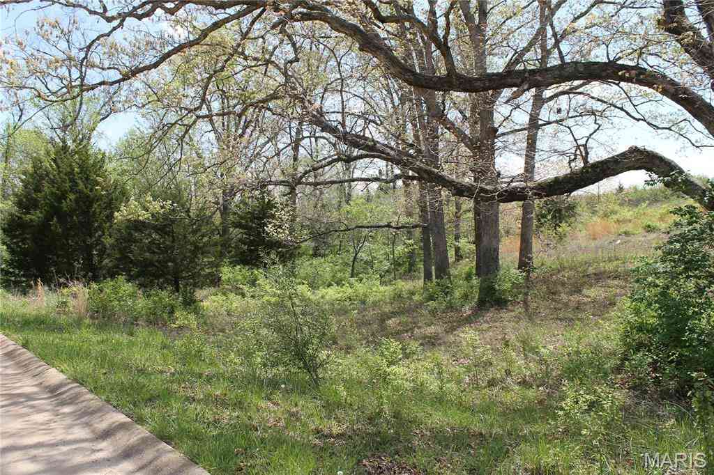 Vacant Land For Sale - Oak Ridge Drive<br/> Saint Clair, MO 63077