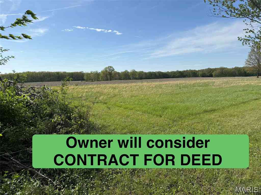 Vacant Land For Sale - TBD Fellin Drive<br/> Mount Olive, IL 62069