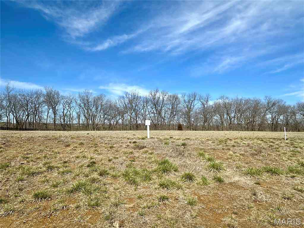 Vacant Land For Sale - 612 Legacy Drive<br/> Monroe County, Waterloo, IL 62298