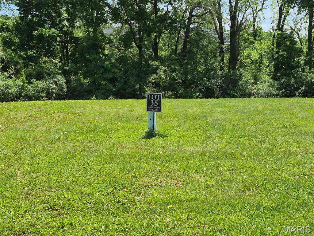 Vacant Land For Sale - 1004 Oak Creek Lane<br/> Monroe County, Waterloo, IL 62298