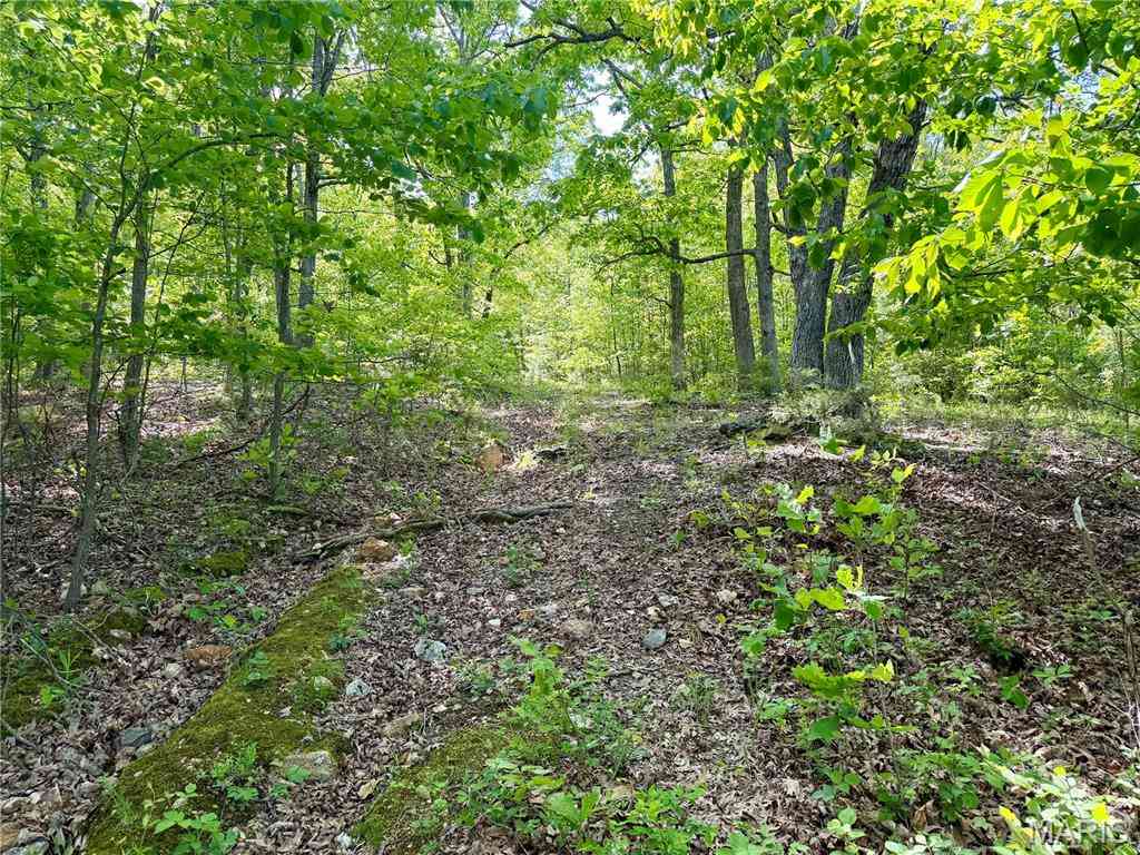 Vacant Land For Sale - Pratt Road<br/> Cadet, MO 63630